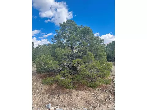 112 Eagles Nest Dr, Mosca, CO 81146 photo 6