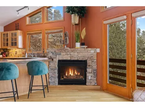 745 N Pine Dr, Bailey, CO 80421