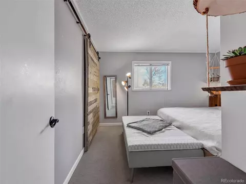 2060 E 84th Ave, Denver, CO 80229 photo 26