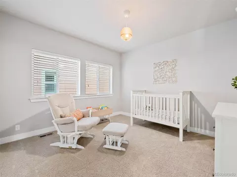 11406 E 27th Ave, Denver, CO 80238 photo 23