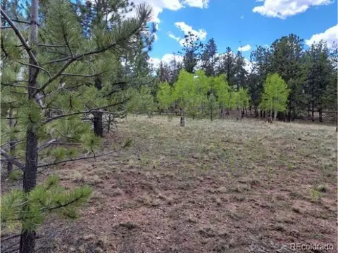 289 Haystack Rd, Hartsel, CO 80449 photo 6