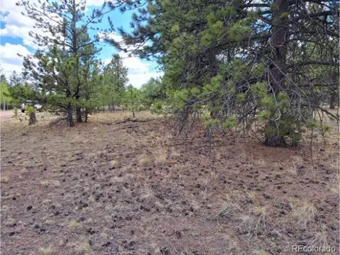 289 Haystack Rd, Hartsel, CO 80449 photo 7