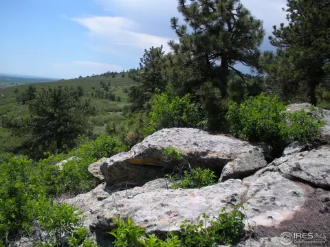 720 N County Road 27, Berthoud, CO 80513 photo 4