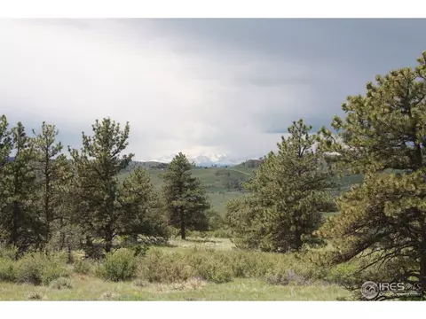 720 N County Road 27, Berthoud, CO 80513 photo 5