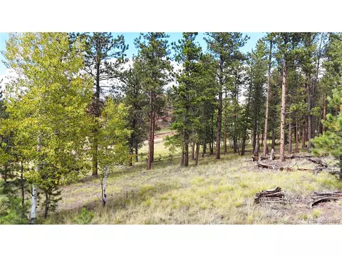 2265 Vagabond Creek Dr, Lake George, CO 80827