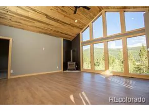 1662 Bobcat Ln, Fairplay, CO 80440
