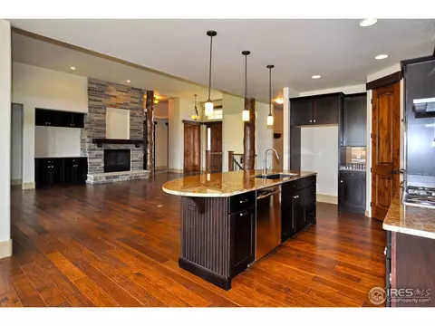 6480 Murano Dr, Windsor, CO 80550 photo 6