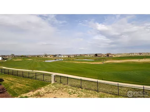 6480 Murano Dr, Windsor, CO 80550 photo 24