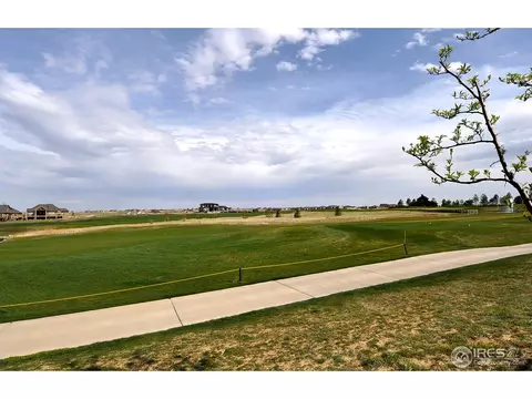 6480 Murano Dr, Windsor, CO 80550 photo 25