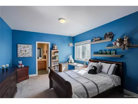 13371 Callae Dr, Conifer, CO 80433 photo 34