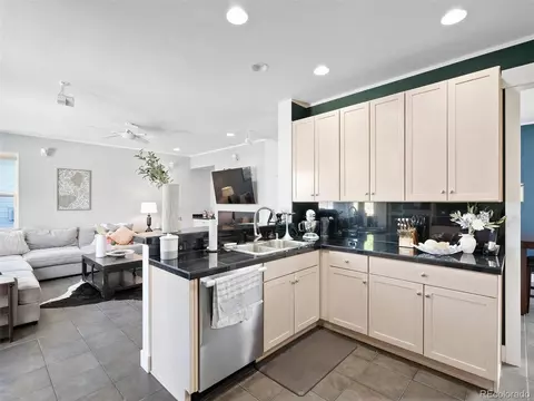 8701 E 29th Ave, Denver, CO 80238 photo 16
