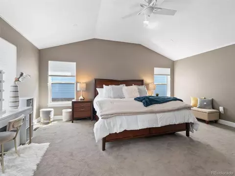 8701 E 29th Ave, Denver, CO 80238 photo 22