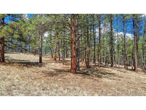301 Blue Mountain Dr, Florissant, CO 80816