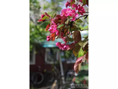 1851 23rd St, Boulder, CO 80302 photo 16