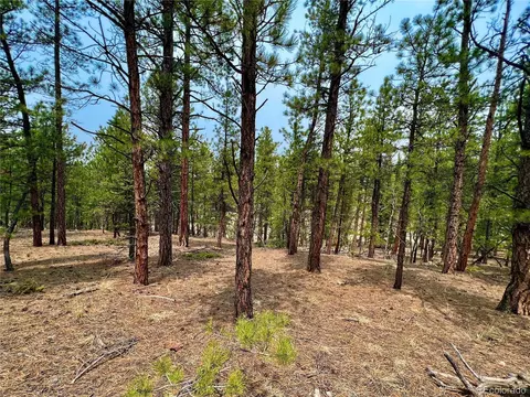 0 Corral Ln, Florissant, CO 80816