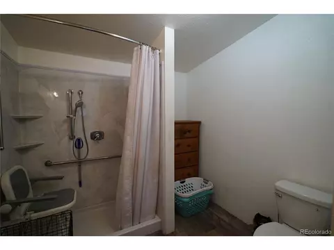 20 Green St, Bailey, CO 80421 photo 12