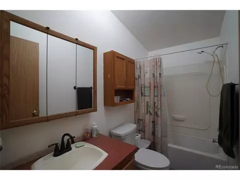 20 Green St, Bailey, CO 80421 photo 7