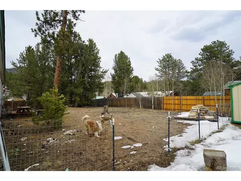 20 Green St, Bailey, CO 80421 photo 14