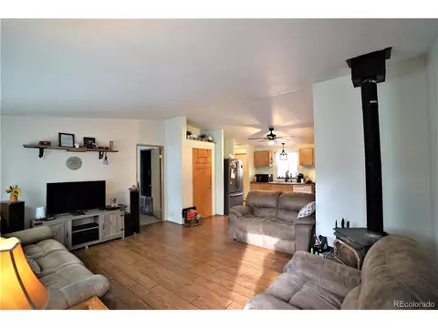 20 Green St, Bailey, CO 80421 photo 4