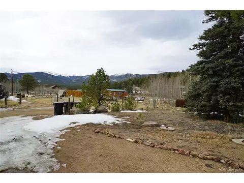 20 Green St, Bailey, CO 80421 photo 15