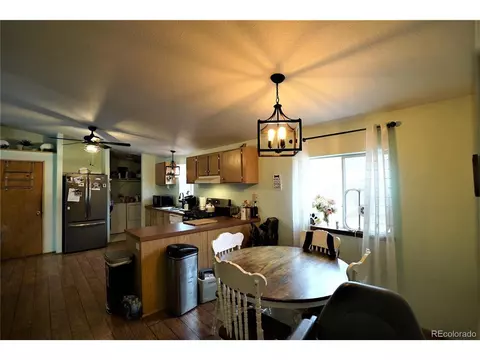20 Green St, Bailey, CO 80421 photo 2