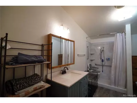 20 Green St, Bailey, CO 80421 photo 11
