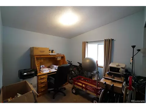 20 Green St, Bailey, CO 80421 photo 9