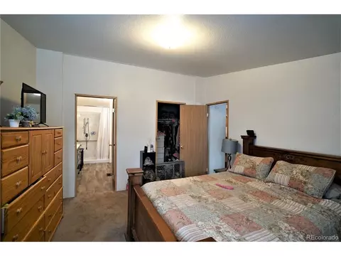 20 Green St, Bailey, CO 80421 photo 5