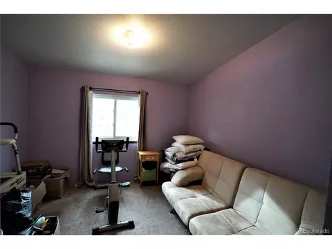 20 Green St, Bailey, CO 80421 photo 8