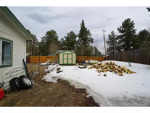 20 Green St, Bailey, CO 80421 photo 16