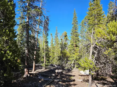 1186 Bobcat Ln, Fairplay, CO 80440