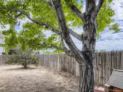 19452 E 42nd Ave, Denver, CO 80249 photo 27