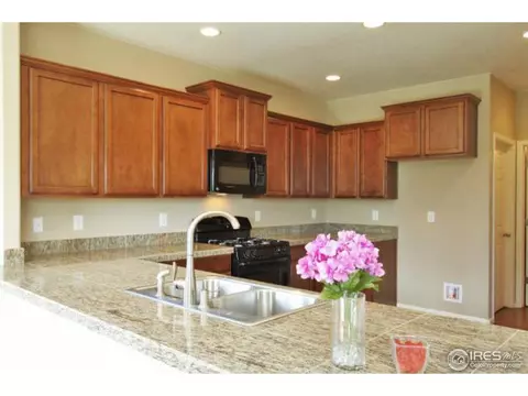 612 Lanley Dr, Windsor, CO 80550 photo 8