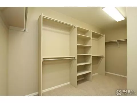 612 Lanley Dr, Windsor, CO 80550 photo 18