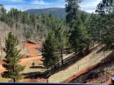 75 Beaver Pond Rd, Divide, CO 80814 photo 24
