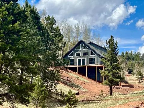 75 Beaver Pond Rd, Divide, CO 80814 photo 21