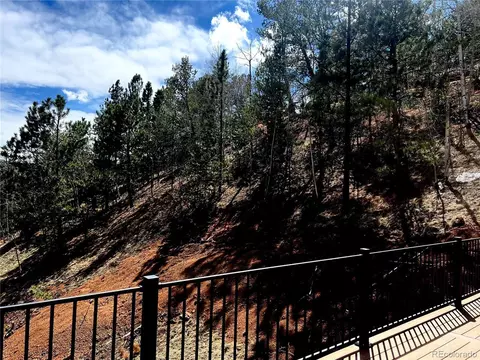 75 Beaver Pond Rd, Divide, CO 80814 photo 23