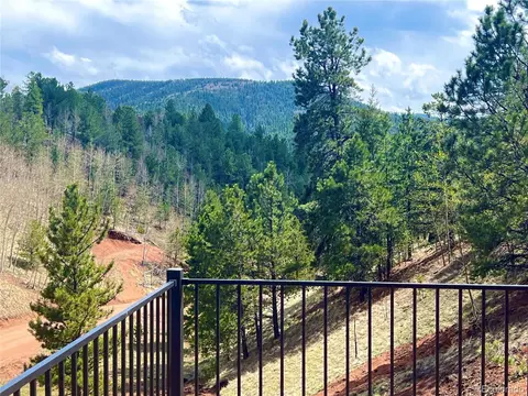 75 Beaver Pond Rd, Divide, CO 80814 photo 22