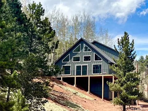 75 Beaver Pond Rd, Divide, CO 80814