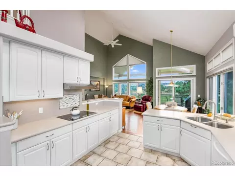 15856 Double Eagle Dr, Morrison, CO 80465 photo 14