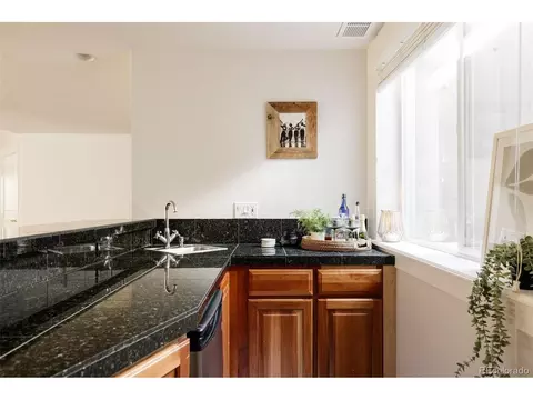 7382 E 8th Pl, Denver, CO 80230 photo 35