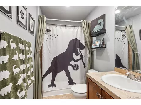 9066 Apache Plume Dr #E, Parker, CO 80134 photo 25