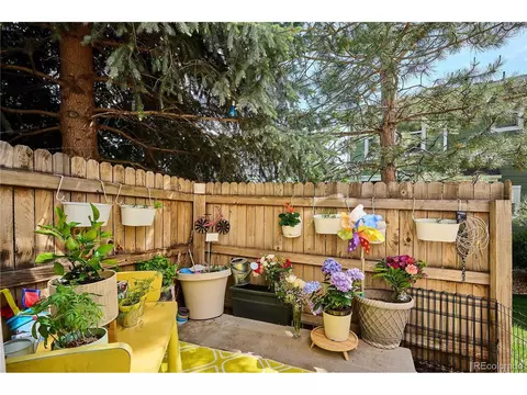 9066 Apache Plume Dr #E, Parker, CO 80134 photo 27