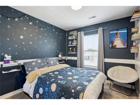 9066 Apache Plume Dr #E, Parker, CO 80134 photo 23