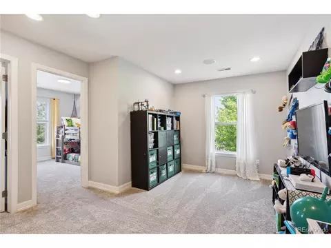 9066 Apache Plume Dr #E, Parker, CO 80134 photo 21