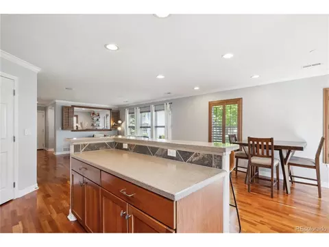 9066 Apache Plume Dr #E, Parker, CO 80134 photo 11