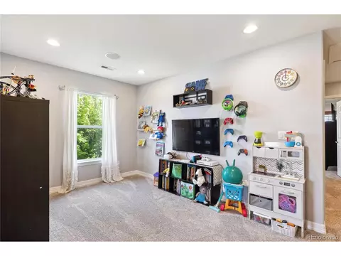 9066 Apache Plume Dr #E, Parker, CO 80134 photo 22