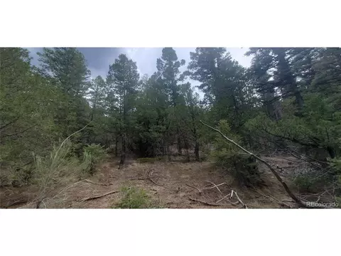 5019 Jensen Rd, Fort Garland, CO 81133