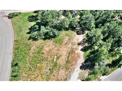 95 Greeley Blvd, Palmer Lake, CO 80133