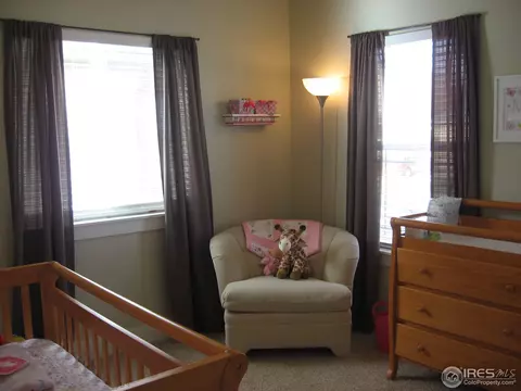 831 Cliffrose Way, Severance, CO 80550 photo 5